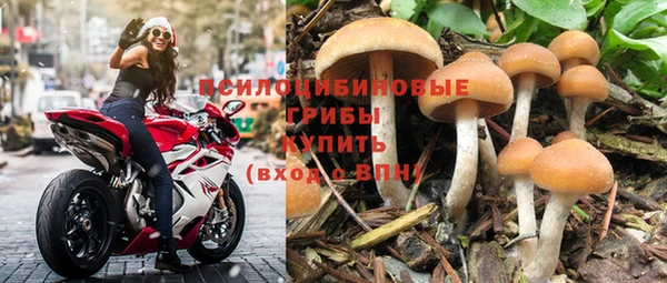 амфетамин Алексин