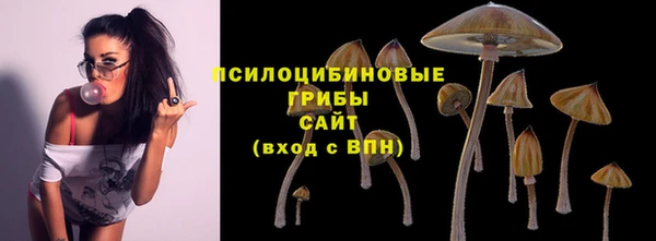амфетамин Алексин