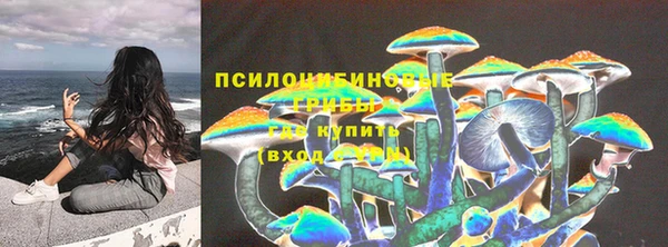 гашик Алексеевка